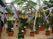 [Botanical 2.JPG]